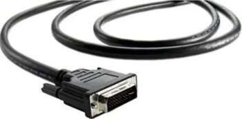 Blackmagic Design Blackmagic Breakout Cable 4