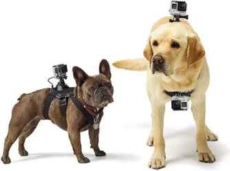 GOPRO FETCH (SUŅU SIKSNAS)