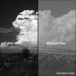 B+W Filter F-Pro 091 Red filter