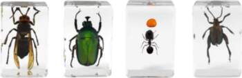 Celestron Microscope sample 3D bug Kit