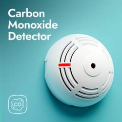 Satel Bewave Carbon Monoxide Detector