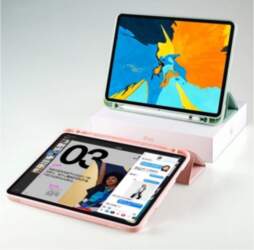 TECH-PROTECT SC Pen case for iPad