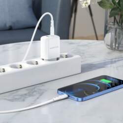 OEM Borofone Wall charger BN4 Potential