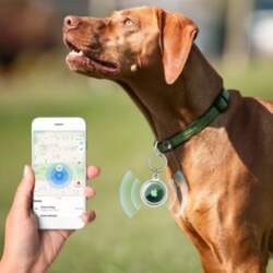 TECH-PROTECT   ICON 4-PACK APPLE AIRTAG CLEAR